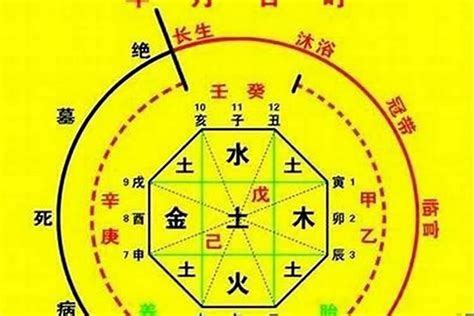 怎麼看八字重不重|八字重量